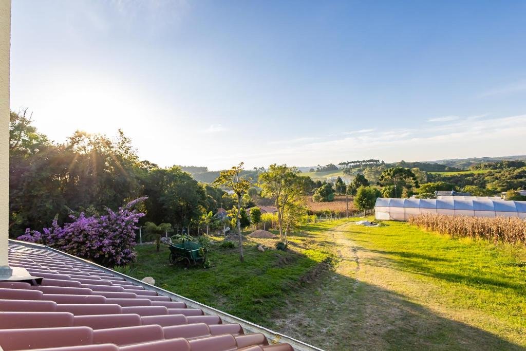 Vista do pomar e da plantação ao amanhecer