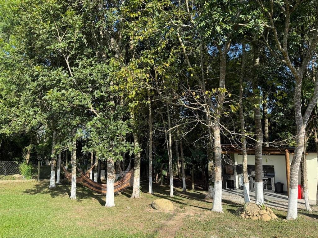 Redes entre as árvores próximas à churrasqueira