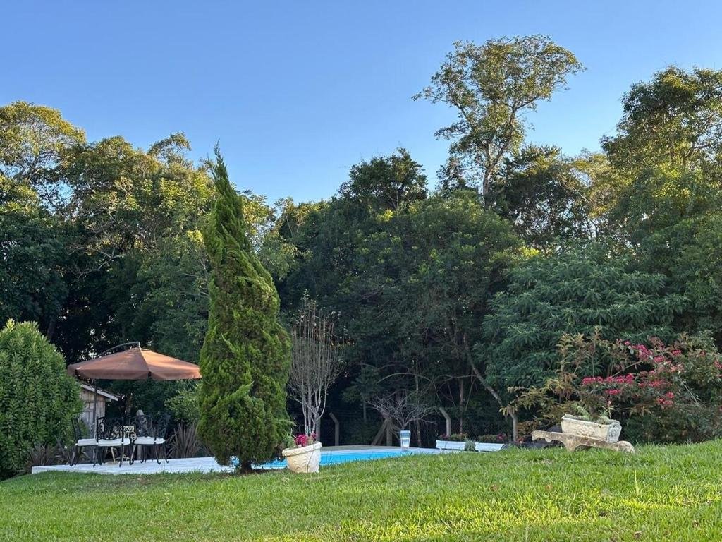 Piscina cercada por jardim e ciprestes