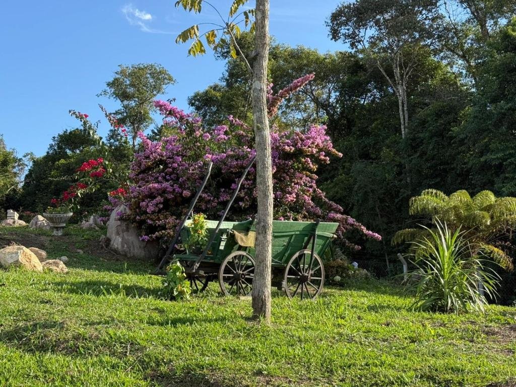 Carroça decorativa entre flores no jardim