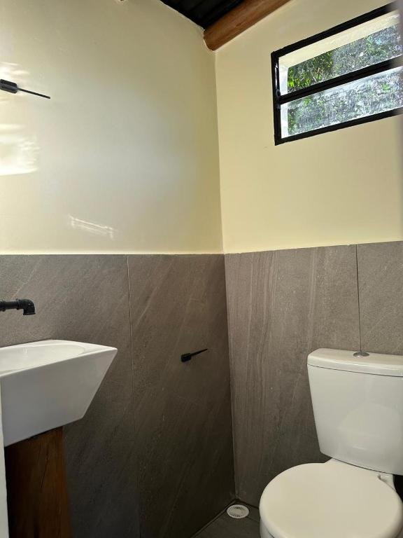 Banheiro simples com box e vista para o jardim